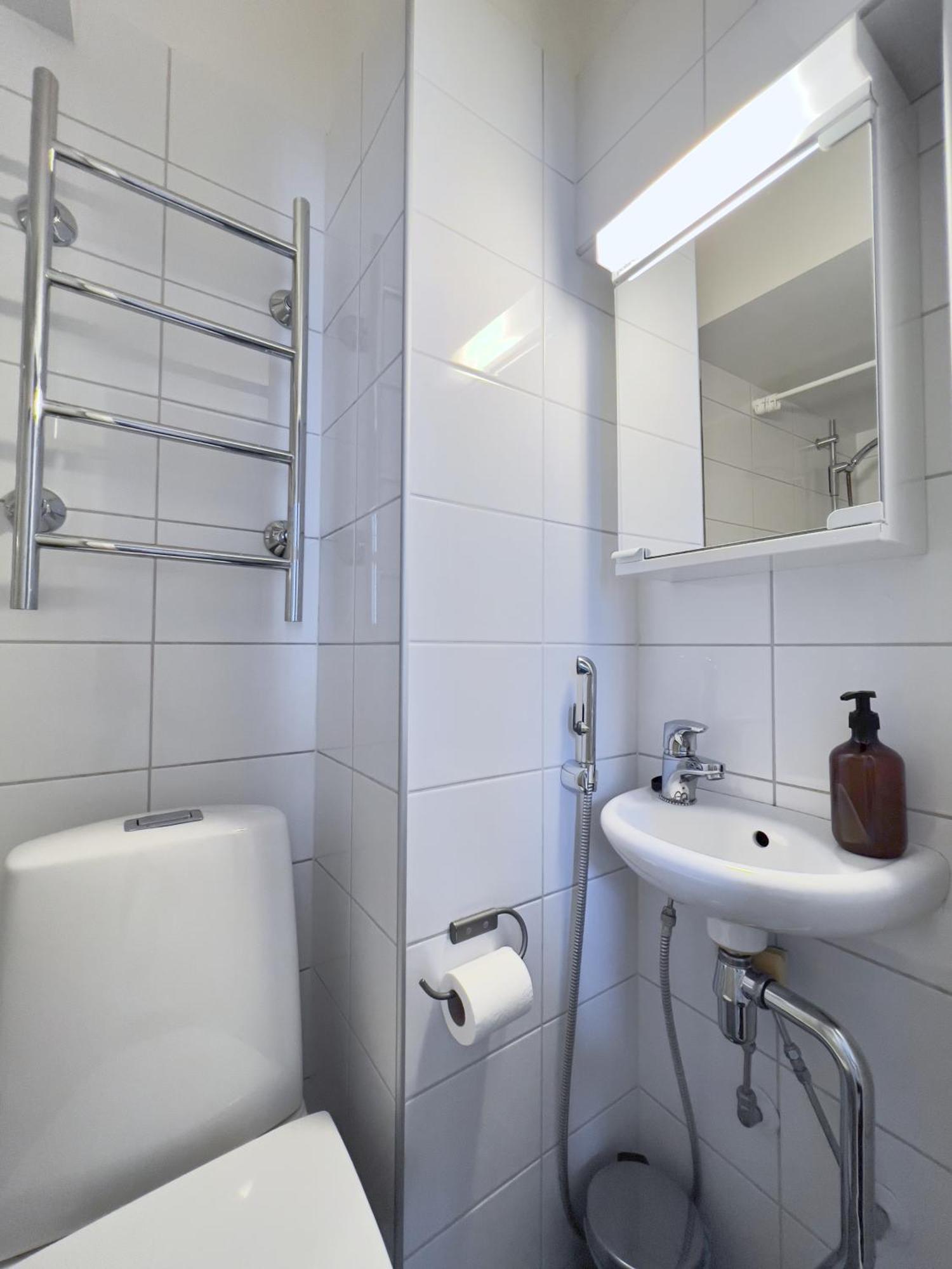 Dainty Central Apartment הלסינקי מראה חיצוני תמונה